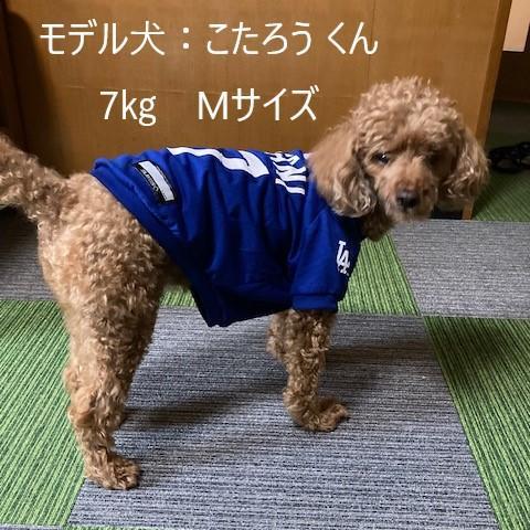 大谷 犬 服 青 大谷翔平 ペット ユニフォーム S-M ブルー ドジャース T