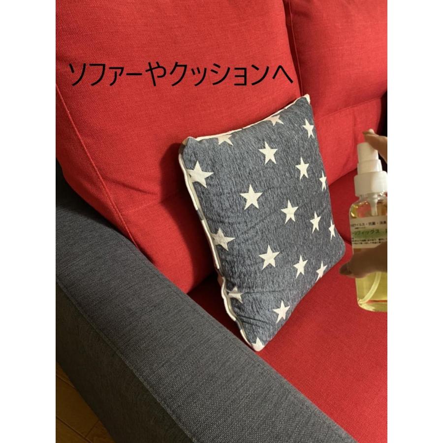 クリーンフィックス 1547IR 200ml 触媒 コーティング スプレー