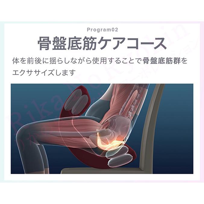芦屋美整体 骨盤スリムロールエアー エアーバッグ ゆらゆらローリング 引き締め 下腹シェイプ 美脚 ウエストケア 骨盤引締め RSL発送 rlt 100sの画像