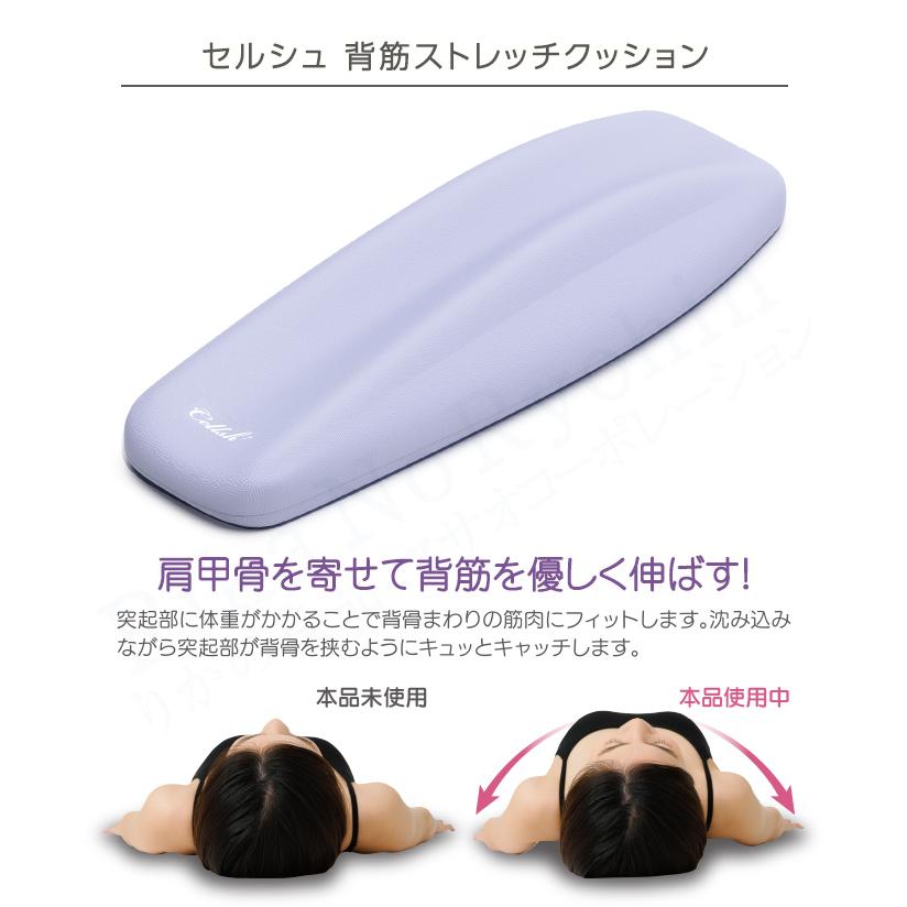 選べる2個セット Cellsh セルシュ ストレッチクッション 首筋 