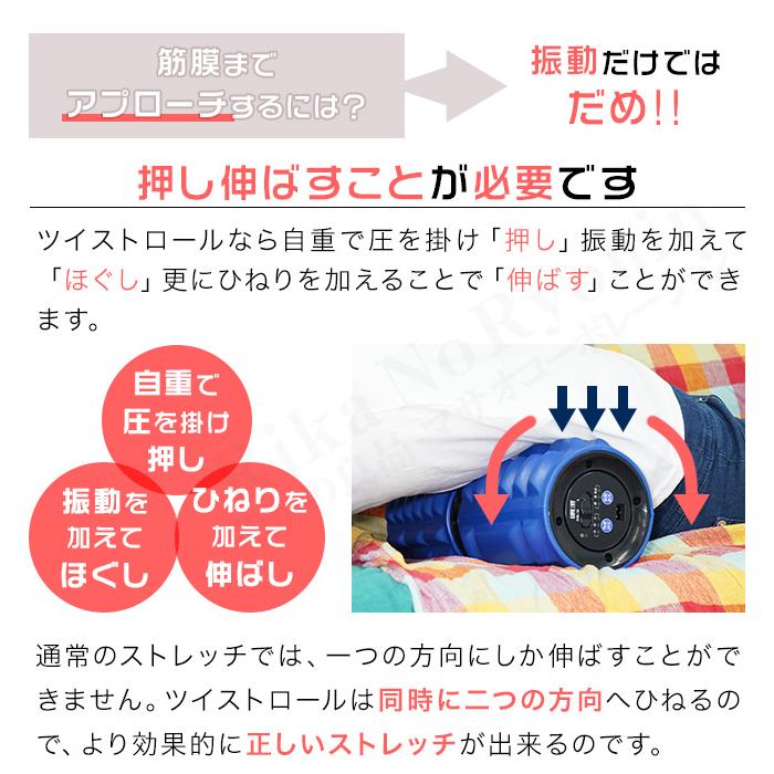 LIFE FIT ツイストロール　レッド Amazon | LIFE FIT ツイストロール Fit009 レッド 電動フォーム