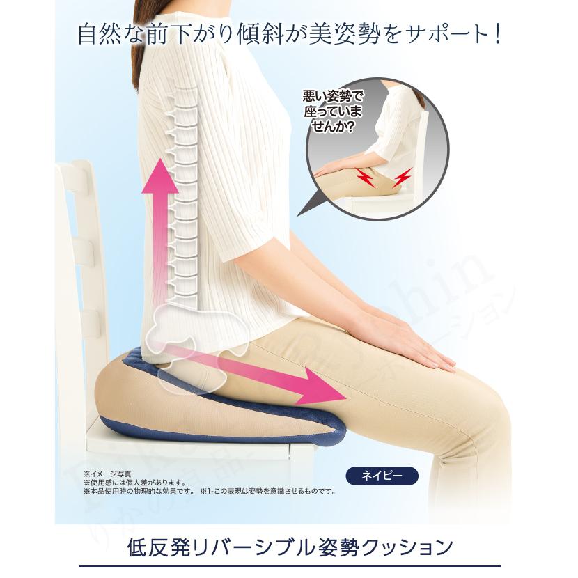 選べる2個セット ニーズ 低反発リバーシブル姿勢クッション 2個セット