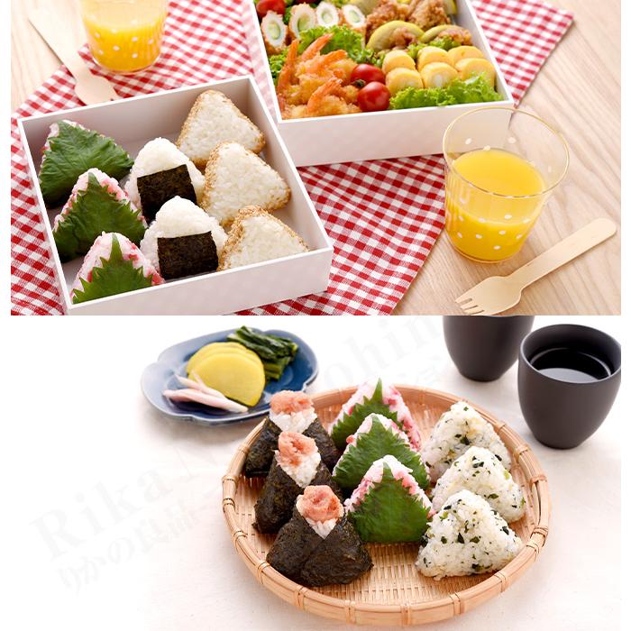 アーネスト（Arnest） 3個セット 簡単おにぎりキット＆ケース