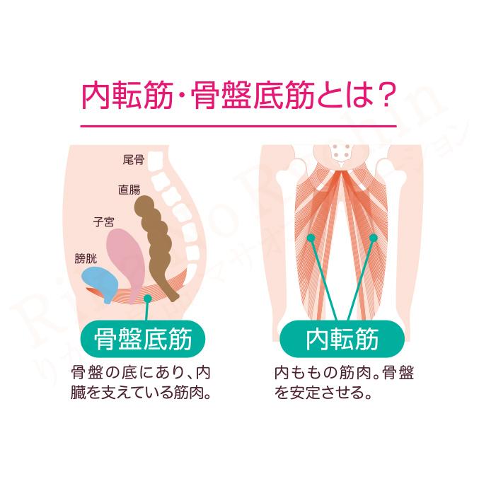 ニーズ キュッと骨盤底筋ゲルクッション 内転筋 骨盤底筋 トレーニング 骨盤 内蔵 筋肉 内もも 筋肉 低反発クッション ゲルクッション 100s sdf｜rikaryo｜03