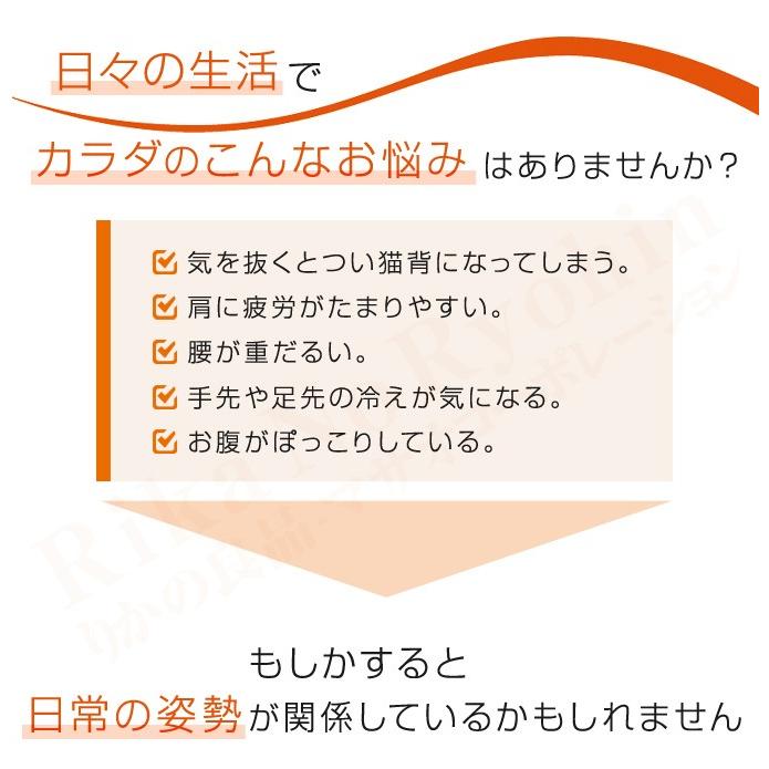 兼子ただし 完全監修 S帯 メール便 エスおび エスオビ えすおび 腹圧 ストレッチ 超ドSトレーナー 姿勢 選べるおまけ 後払い可 pkt2 bnm｜rikaryo｜04