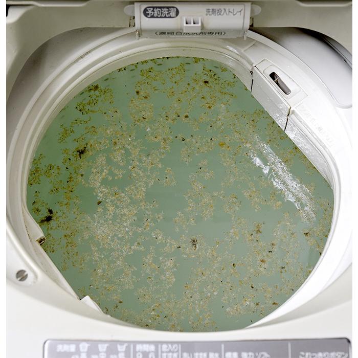 お試し１回分×３個セット 洗濯槽キレイサッパリストロング 洗濯槽クリーナー ドラム式 二層式 全自動洗濯機 除菌 消臭 掃除 日本製 アーネスト nkp bnm｜rikaryo｜03