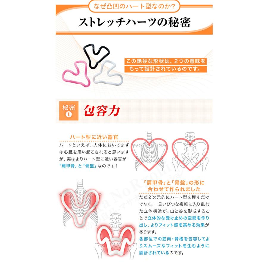 dinos - ストレッチハーツ ＆ ストレッチターボ セット / 保阪尚希 ストレッチハーツ&ストレッチターボset 保阪尚希 解説DVD＆解説