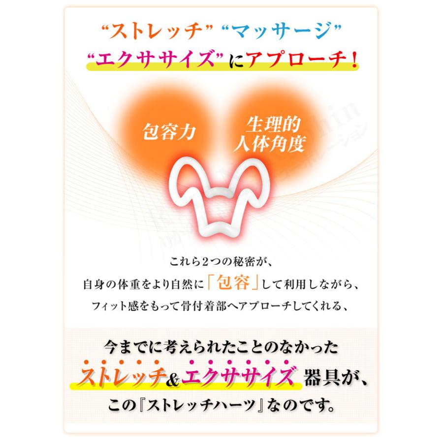 ストレッチハーツ&ストレッチターボset 保阪尚希 解説DVD＆解説冊子