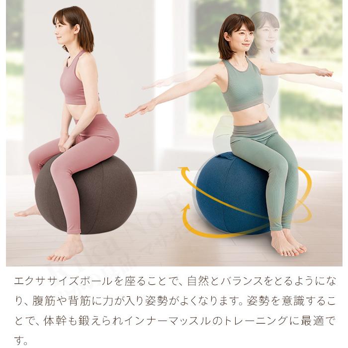 体幹バランスエクサボール 約55cm エアーポンプ付き バランスボール