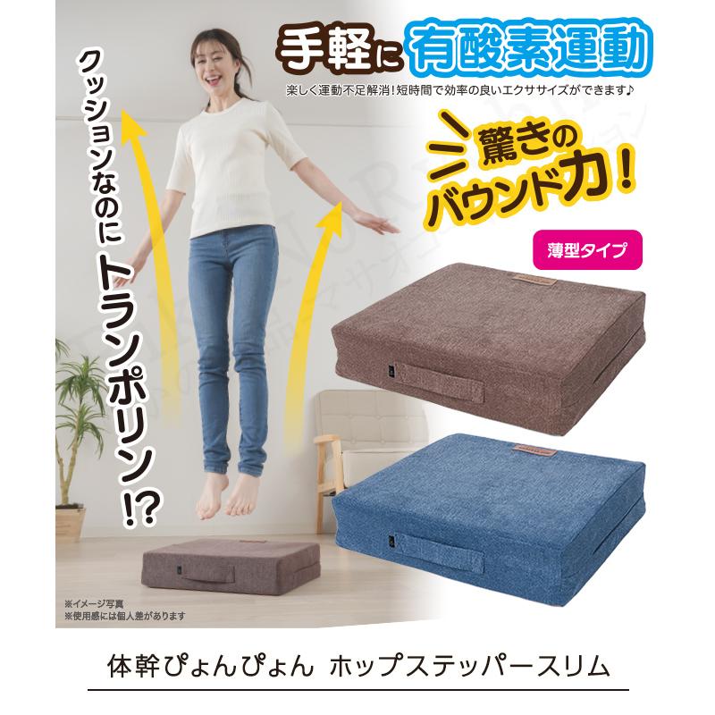 スリムタイプ ニーズ 体幹ぴょんぴょん ホップステッパースリム