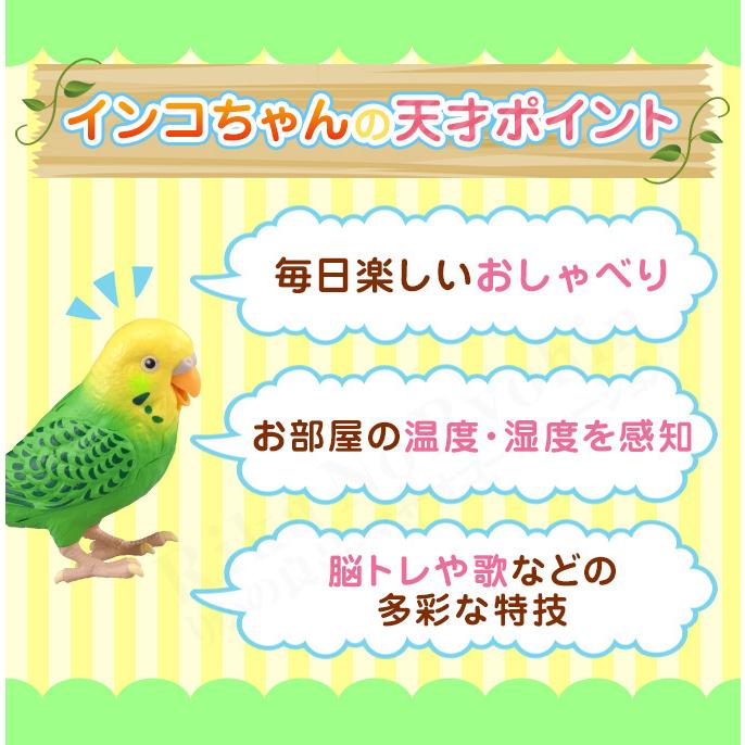 毎日おしゃべり 天才インコちゃん タカラトミー しゃべる 人形 セキセイインコ 脳トレ お喋り 高齢 60s Bnm B Tsinkoc りかの良品 Yahoo 店 通販 Yahoo ショッピング