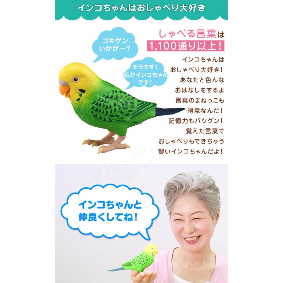 毎日おしゃべり 天才インコちゃん タカラトミー しゃべる 人形 セキセイインコ 脳トレ お喋り 高齢 60s Bnm B Tsinkoc りかの良品 Yahoo 店 通販 Yahoo ショッピング