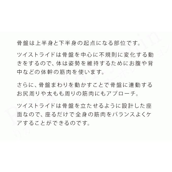 ヤーマン ツイストライド AYS41B 腰回し 体幹 骨盤 トレーニング ストレッチ 腰 お尻 太もも シニア 座るだけ 肩 肩甲骨 ポイント10倍  120s bnm