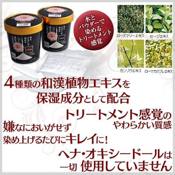 自然彩色 選べる2個セット 日本製 医薬部外品 男女兼用 白髪染め 自然彩色 選べる2個セット 日本製 医薬部外品 男女兼用 白髪染め