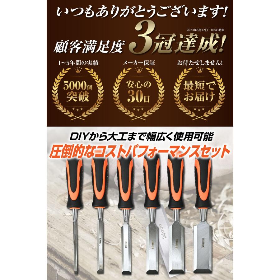 ノミ 工具 セット 木工ノミセット 鑿 平ノミ DIY 叩きのみ 6mm ノミ 工具 セット 木工ノミセット 鑿 平ノミ DIY 叩きのみ 6mm