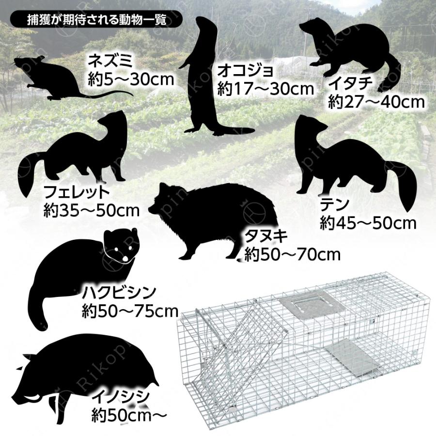 大型 動物捕獲器 動物捕獲檻 猫 アニマルトラップ XLサイズ 94cm 大型 動物捕獲器 動物捕獲檻 猫 アニマルトラップ XLサイズ 94cm