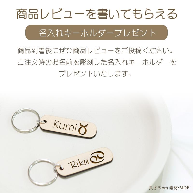 名入れ無料】12星座 カトラリー スプーン フォーク ステンレス製 誕生