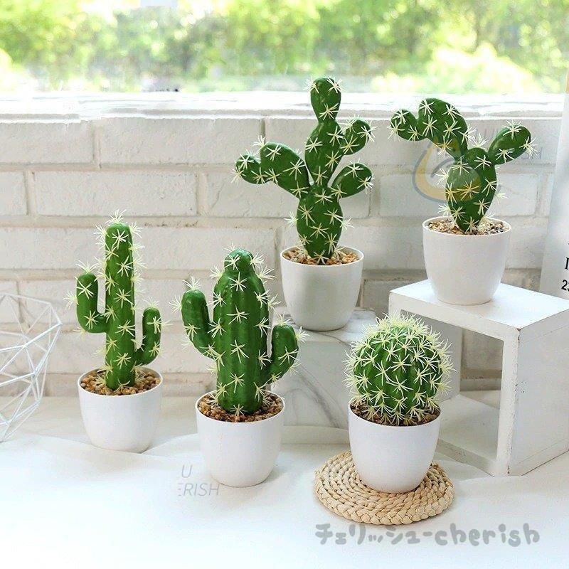 人工観葉植物 サボテン フェイクグリーン ポット 造花 多肉植物 6種類 卒業式 Mom33 1428 リクタロウ 通販 Yahoo ショッピング
