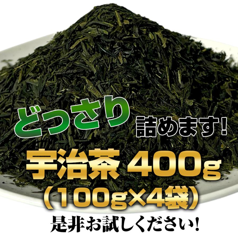 京都利休園 お試し 宇治茶 茶葉 お茶 送料無料 公式 お徳用 大容量