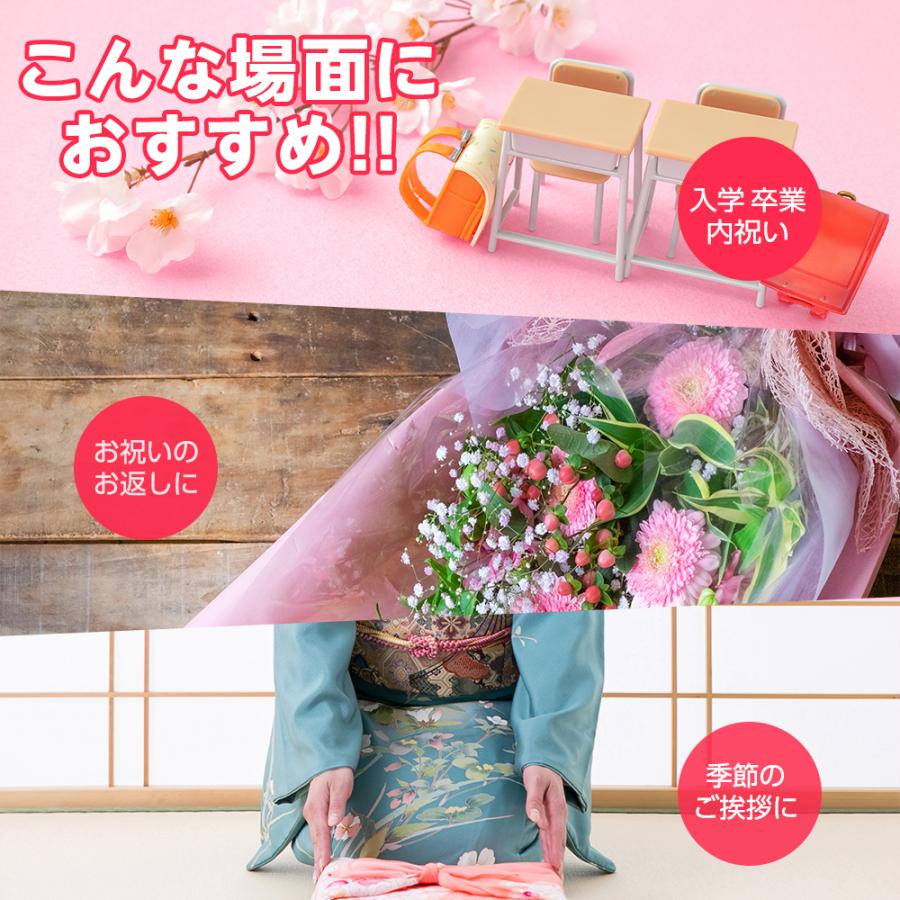 お茶 ギフト 送料無料 高級 京都利休園 公式 紅白ギフト 朝宮紅茶 白煎茶 詰め合わせ 入学式 内祝い お歳暮 お茶ギフト 通常茶葉 国産 w-r-set | 京都利休園 | 01