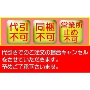 200系 ハイエース 玄武 ゲンブ  Genb スーパーダウンブロックシステム 3.5inch/-87.5mmSDS35H※代引き不可※｜rim｜02