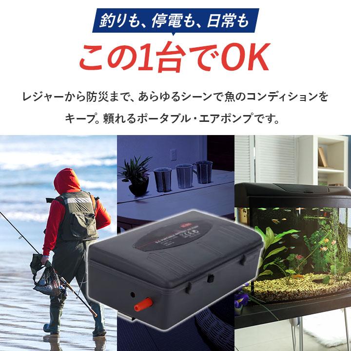 魚用エアーポンプ DC900 ブラック ミクロ泡 エアストーン付き 低騒音