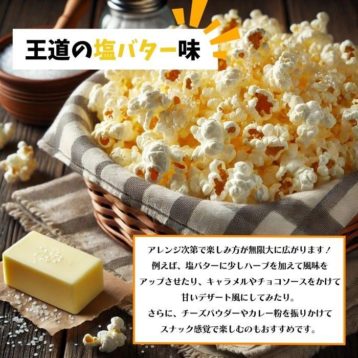 お試し 2個セット】コストコ ポップコーン カークランドシグネチャー