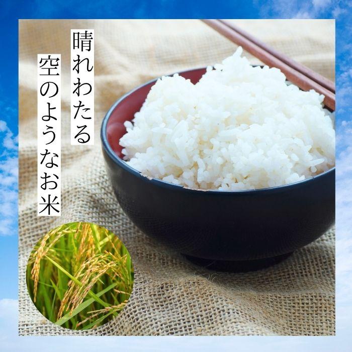 はれわたり 10kg 青森県産 令和6年産 お米 白米 国産米 精米 パール
