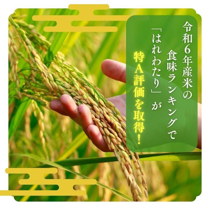 はれわたり 10kg 青森県産 令和6年産 お米 白米 国産米 精米 パール