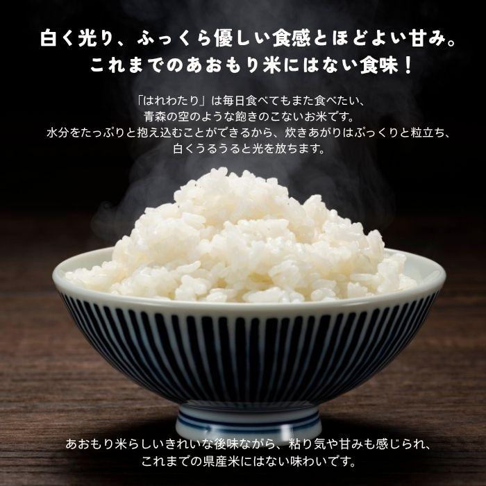 はれわたり 10kg 青森県産 令和6年産 お米 白米 国産米 精米 パール
