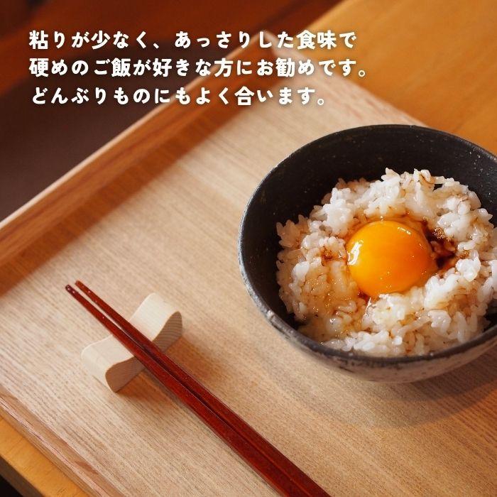 まっしぐら 10kg 青森県産 令和6年産 お米 白米 国産米 精米 パール