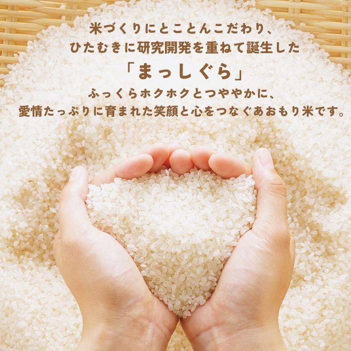 まっしぐら 10kg 青森県産 令和6年産 お米 白米 国産米 精米 パール