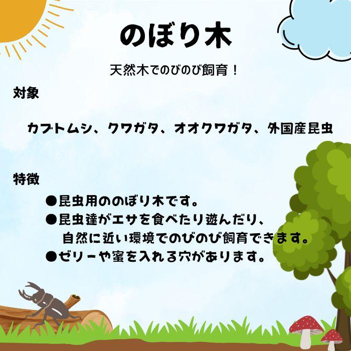 のぼり木/くぬぎ昆虫マットセット】ゼリー1個付 ペット用品 昆虫