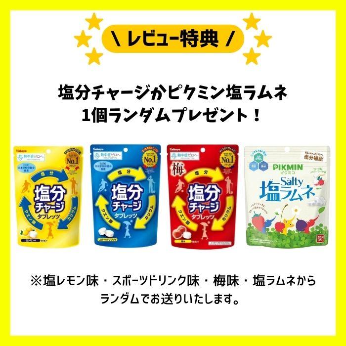 3種類×各6個セット】塩分チャージタブレッツ【スポーツドリンク味×塩