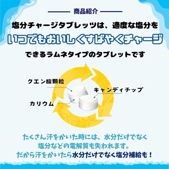 3種類×各12個セット】塩分チャージタブレッツ【スポーツドリンク味×塩