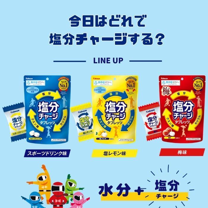 3種類×各12個セット】塩分チャージタブレッツ【スポーツドリンク味×塩