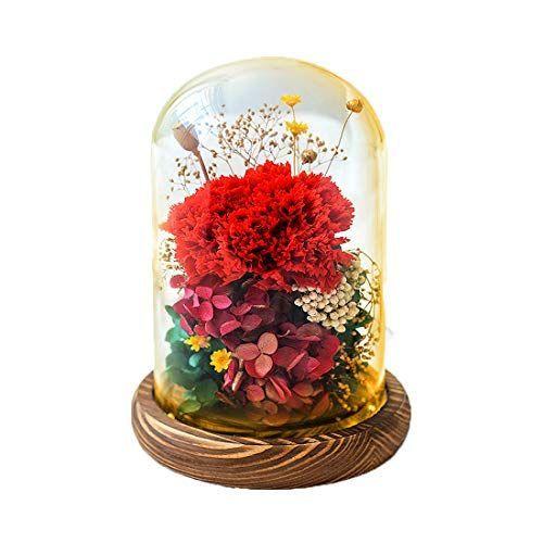 プリザーブドフラワー レッド プレゼント ギフト 枯れない花 フラワー バレンタインデー フラワー 花 カーネーション カーネーション フラワーアレンジ レッド 母 ドーム型 りん りん 超目玉 12月 の