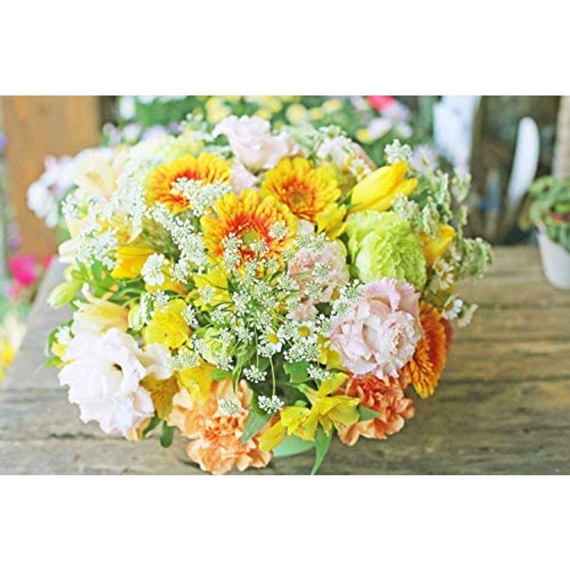 ギフト 生花 生花 フラワーアレンジメント 誕生日 結婚記念日 お祝い フラワーアレンジメント 開店祝い 還暦 LLサイズ 母の日 花 大臣賞受賞デザイナー プレゼント 母の日 りん りん 20220422080834 00053 【値下げ可能】!! ギフト 生花 生花 フラワーアレンジメント 誕生日 結婚記念日 お祝い フラワーアレンジメント 開店祝い 還暦 LLサイズ 母の日 花 大臣賞受賞デザイナー プレゼント 母の日 りん りん 20220422080834 00053 【値下げ可能】!!