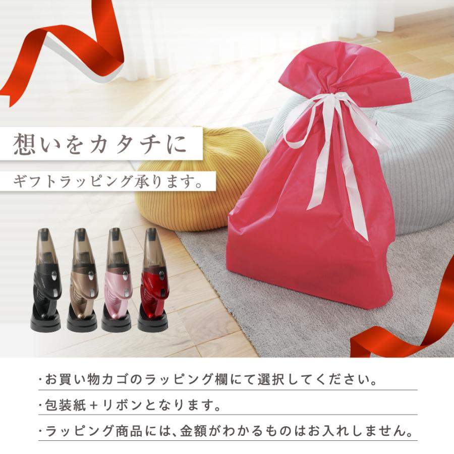 Sweecle ハンディクリーナー 本体 Red Sweecle ハンディクリーナー 本体 Red Amazon | SWCL05KD レッド