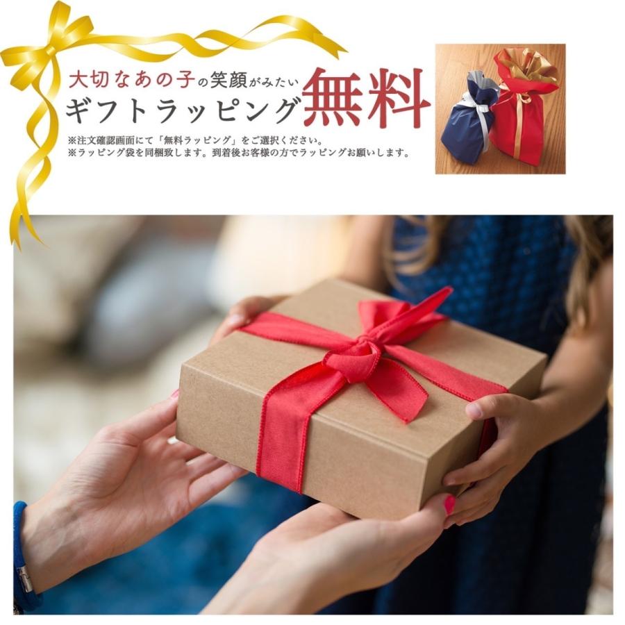 公式 3Dペン 3Doodler Start + 女の子 男の子 誕生日 プレゼント 知育 おもちゃ スリードゥードラー 3dアートペン 孫  国内唯一の総代理店　爆買の画像