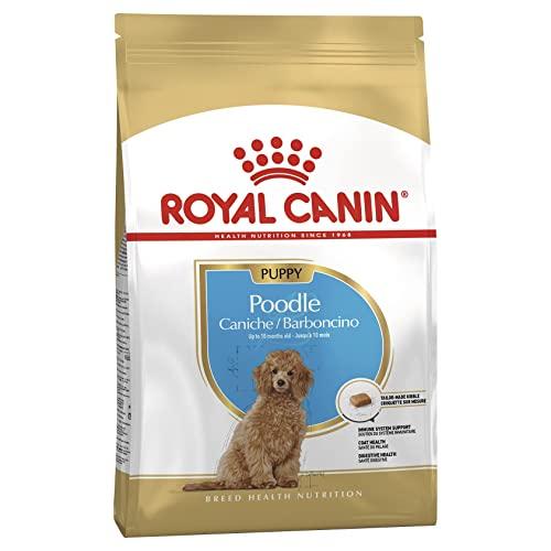 ロイヤルカナン BHN プードル 成犬用 3kg : LIKE.SHOP - 通販 - Yahoo