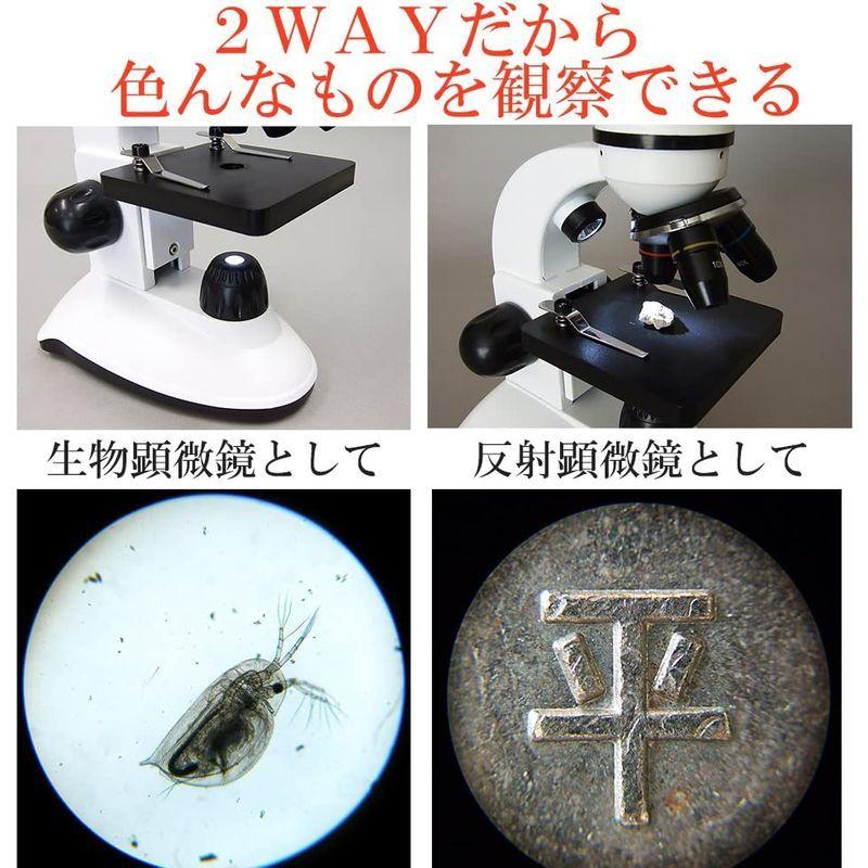 限定素材を使用 特別版：顕微鏡観察ガイド付属顕微鏡セット 40-800倍 2Way (生物顕微鏡と反射顕微鏡) マイクロスコープ スマホ撮影可 子供 小学生 【1932937376】(11363円)