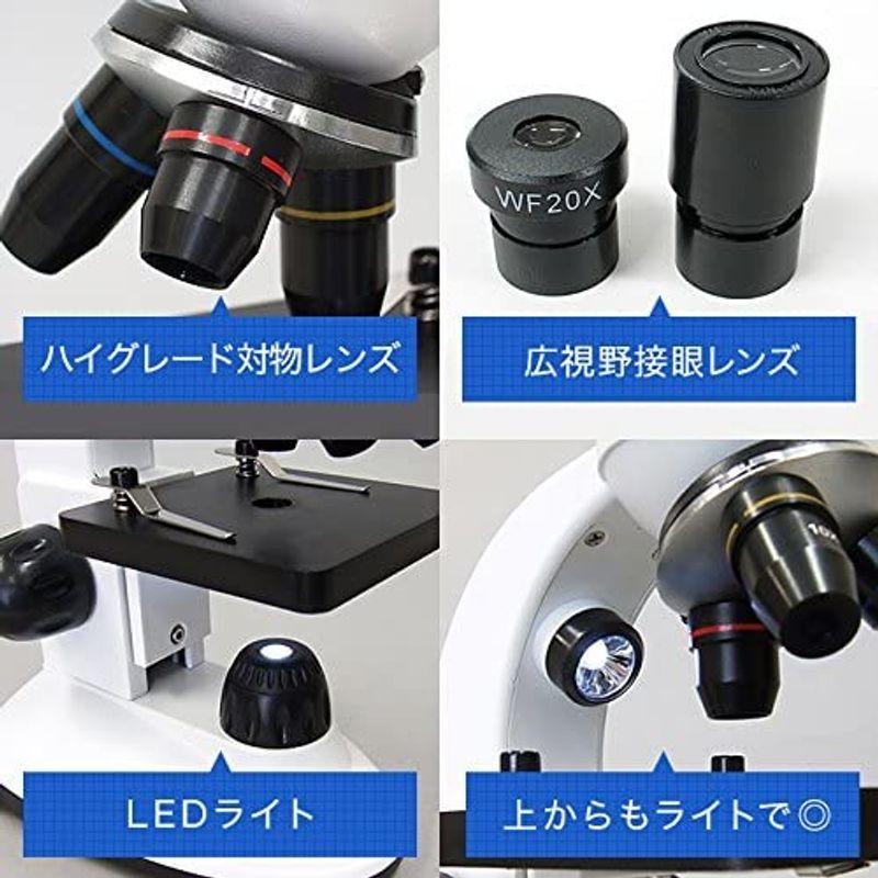 限定素材を使用 特別版：顕微鏡観察ガイド付属顕微鏡セット 40-800倍 2Way (生物顕微鏡と反射顕微鏡) マイクロスコープ スマホ撮影可 子供 小学生 【1932937376】(11363円)