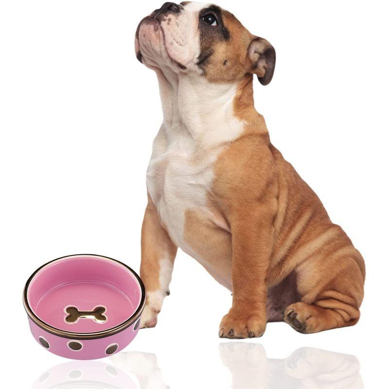 Pet rageous designs(ペットレジオスデザイン) 犬用食器 コスモポリタン ドッグボウル ピンク