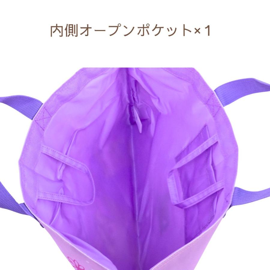 BANDAI（バンダイ） レッスンバッグ ラプンツェル レッスンバック
