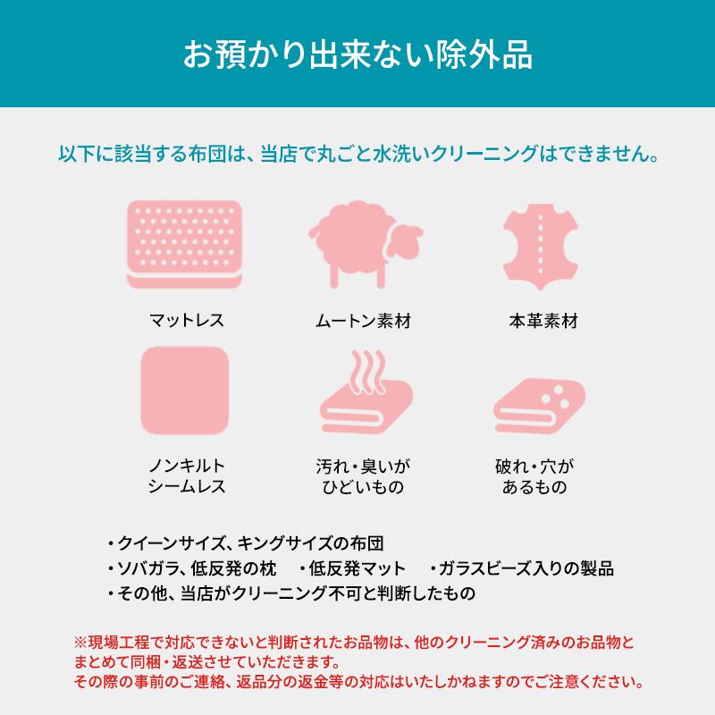 布団クリーニング 保管12ヶ月無料 丸洗い 宅配送料無料 保管 羽毛布団 