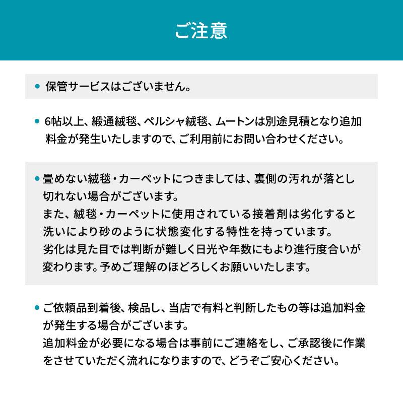 宅配 絨毯・カーペットクリーニング ラグ 電気カーペット 緞通 マット 玄関マット 防ダニ |  | 05
