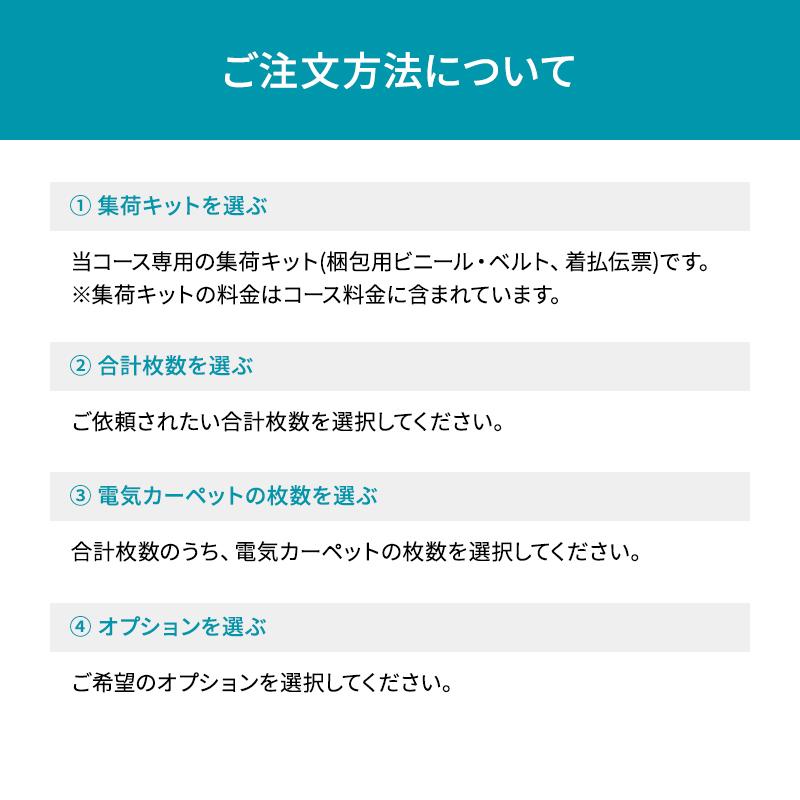 宅配 絨毯・カーペットクリーニング ラグ 電気カーペット 緞通 マット 玄関マット 防ダニ |  | 04