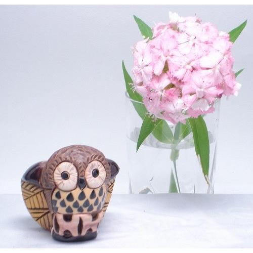 置物 フクロウ ふくろう 梟 陶器 14 |  | 03
