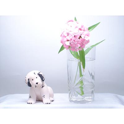 置物 犬 いぬ イヌ 犬  陶器 500 |  | 04